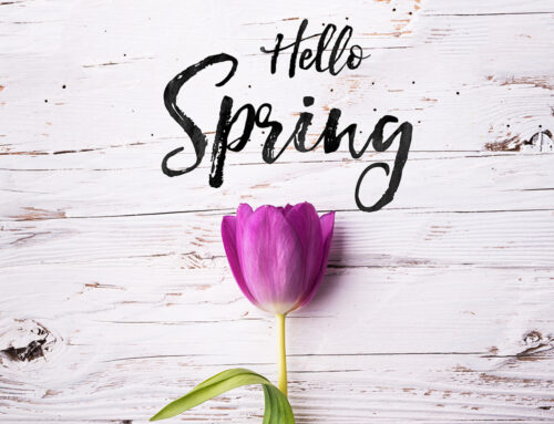 Spring Cleaning- From our Living Room to Yours