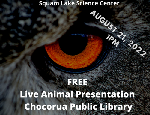 Squam Lake Science Center- Owls of NH