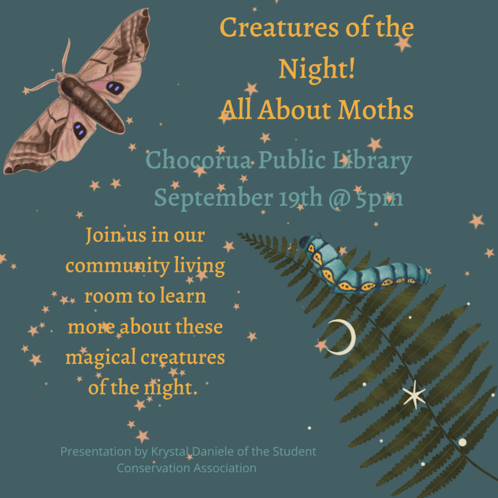 All about Moths