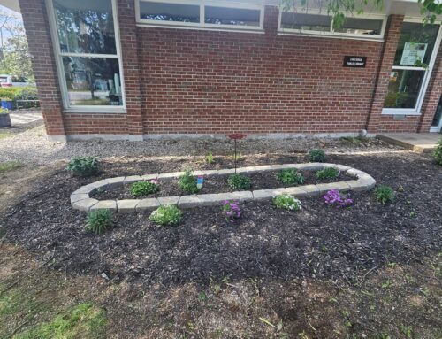 A Blooming Welcome: New Pollinator Garden at CPL