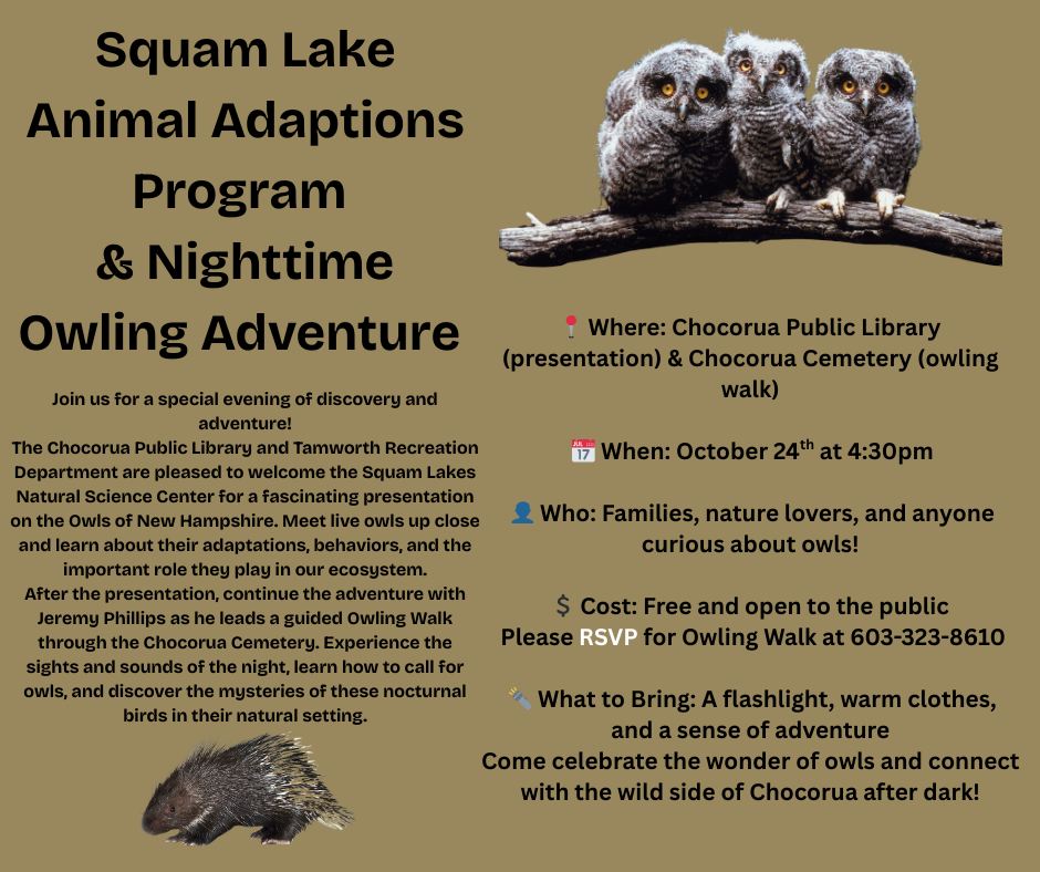 Squam Lake Animal Adaptations Program & Nighttime Owling Adventure
