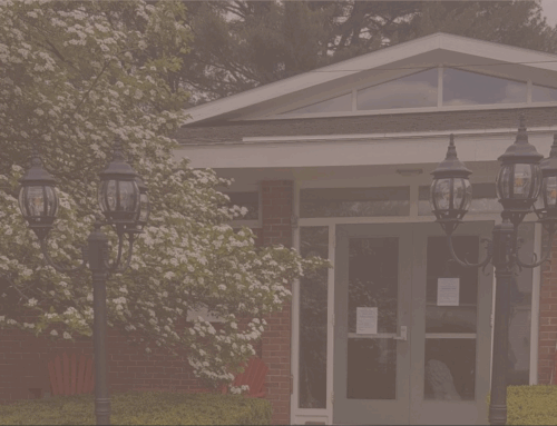 Historical Library hidden in Chocorua