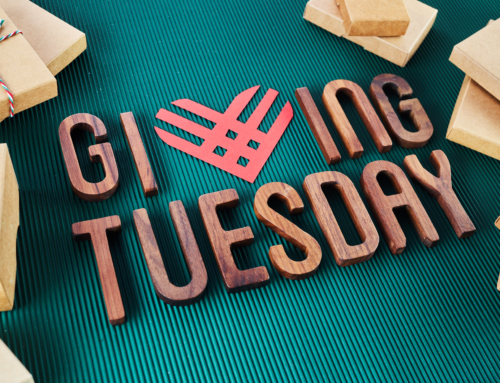Giving Tuesday at the Chocorua Public Library: A Day to Support Community, Connection, and Our Historic Space